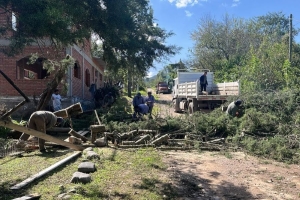 Temporral en Jujuy. Amplio operativo municipal ante caída de árboles