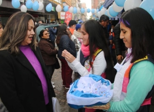 “Jornada Patria” en Peatonal Belgrano