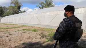 Destacan sistema de seguridad en Cannabis Medicinal