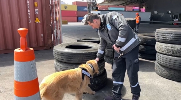 La Aduana fren&oacute; las importaciones de las empresas apuntadas por empujar el conflicto del neum&aacute;tico