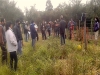 Desarrollo de la ganader&iacute;a en los valles