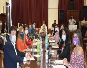 "Colectivos" participan en el tratamiento del proyecto de ley sobre violencia de g&eacute;nero