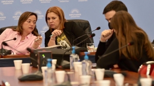 Diputados emiti&oacute; tres dict&aacute;menes para reformar la ley de alquileres