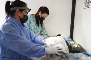 Zoonosis contin&uacute;a su recorrido barrial con nuevos puntos de atenci&oacute;n