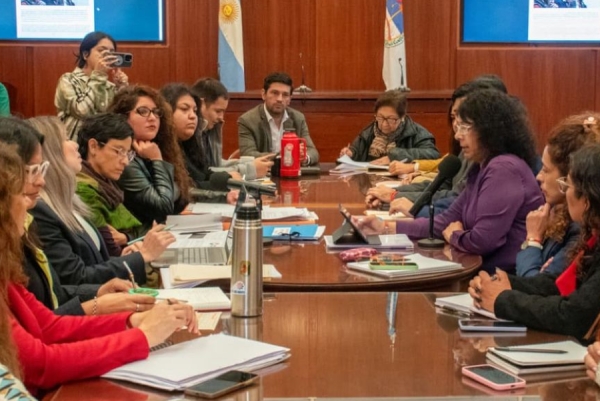 El Gobierno de Jujuy present&oacute; el informe de la ley Iara