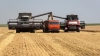 La actividad econ&oacute;mica cay&oacute; un 1,3% en julio: solamente crecieron el agro y la miner&iacute;a