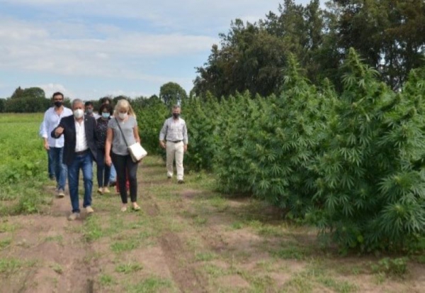 Fellner: "espero que este proyecto vuelva a posicionarnos ante los ojos del mundo"