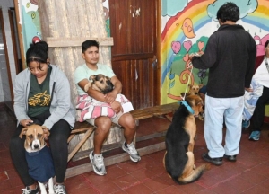 Municipio contin&uacute;a con la campa&ntilde;a de castraci&oacute;n masiva