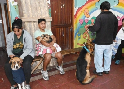 Municipio contin&uacute;a con la campa&ntilde;a de castraci&oacute;n masiva