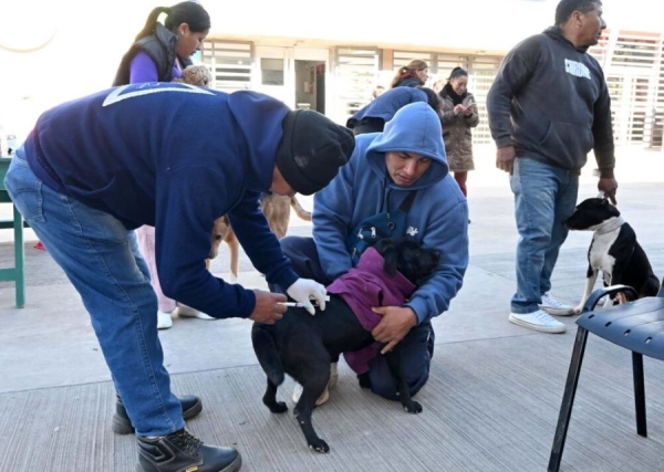 Operativo de desparasitaci&oacute;n y castraci&oacute;n de mascotas se realiz&oacute; en Campo Verde