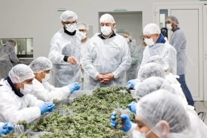 CANNAVA: Jujuy ya exporta flor de cannabis de grado farmacéutico a Portugal, Alemania y Australia