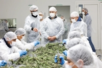CANNAVA: Jujuy ya exporta flor de cannabis de grado farmac&eacute;utico a Portugal, Alemania y Australia