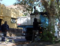 Trabajos de mantenimiento en la plaza Constituci&oacute;n