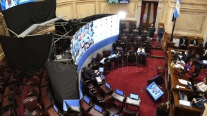 En la primera sesi&oacute;n virtual de su historia, el Senado aval&oacute; los decretos vinculados con la pandemia