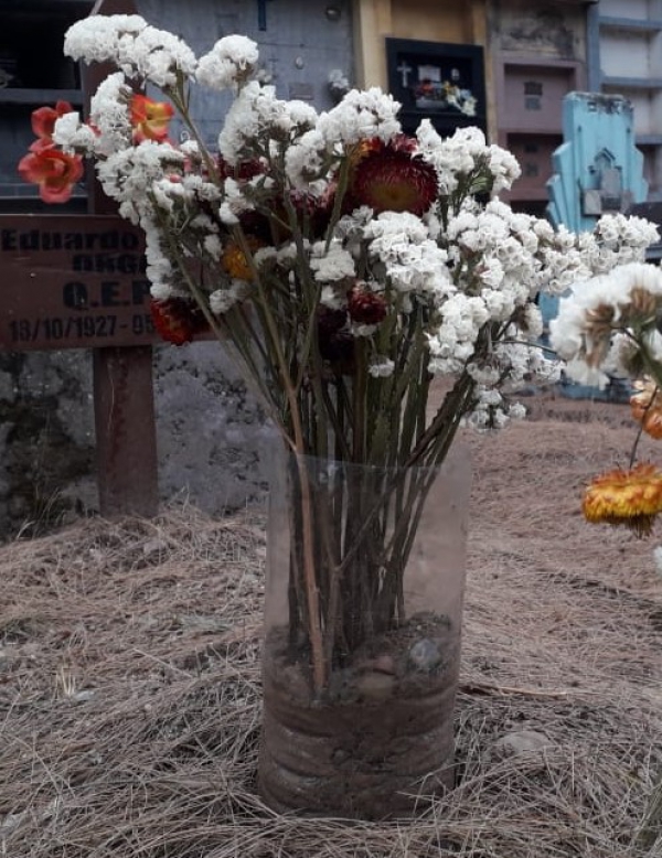 Contra el Dengue, tambi&eacute;n en la visita a los cementerios