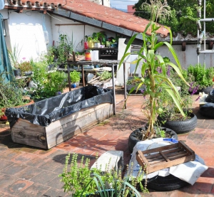 Ultimos d&iacute;as. Talleres de huertas on line