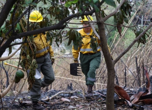 Incendios en Jujuy:  La urgencia de profundizar la prevenci&oacute;n
