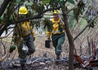 Incendios en Jujuy:  La urgencia de profundizar la prevenci&oacute;n