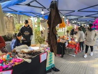 Feria y Trueque "Manos Ind&iacute;genas" en Plaza Espa&ntilde;a