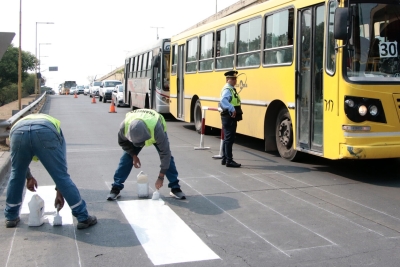 Contin&uacute;an los trabajos de demarcaci&oacute;n de sendas peatonales en la ciudad