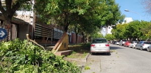 Mantenimiento de espacios verdes en la ciudad