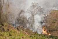 Incendios de Vegetación en Salta: Jujuy asiste y refuerza tareas preventivas sanitarias y en terreno