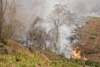 Incendios de Vegetaci&oacute;n en Salta: Jujuy asiste y refuerza tareas preventivas sanitarias y en terreno