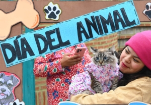 Exitoso balance de la Semana del Animal con acciones de salud