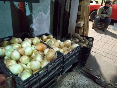 &iquest;Deber&iacute;amos comer m&aacute;s plantas?: estas son las mejores para evitar el cambio clim&aacute;tico