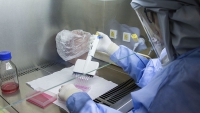 En las &uacute;ltimas 24 horas, 10.384 personas dieron positivo con coronavirus en el pa&iacute;s
