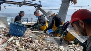 El atraso del dólar ahora impacta en la industria pesquera y reclaman suspender las retenciones