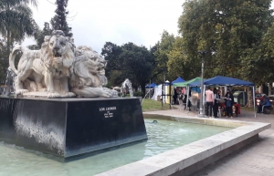 "Las manos hacen" realizaron edici&oacute;n especial