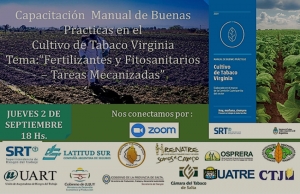Buenas Pr&aacute;cticas agr&iacute;colas en el Cultivo de Tabaco Virginia