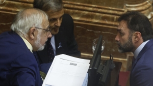 El gobierno quiere cambios en Ficha Limpia para que el proyecto vuelva a Diputados y Lospennato no festeje