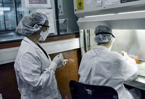 Coronavirus: Jujuy inform&oacute; 14 casos nuevos positivos y la cifra asciende a 129