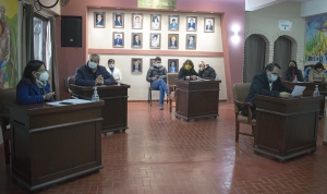 Concejales quieren implementar "Paradas seguras"