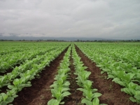 FET: se desembolsaron m&aacute;s de 500 millones de pesos en Jujuy