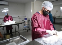 Campa&ntilde;a de Castraci&oacute;n Masiva en los Centros de Zoonosis