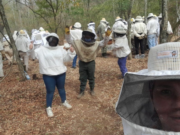 Unidades Demostrativas Ap&iacute;colas, una herramienta de capacitaci&oacute;n en el territorio