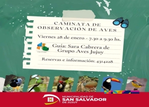 "Caminata de observaci&oacute;n de aves"
