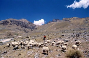 UEP: convocatoria a productores para designar representantes de cada regi&oacute;n
