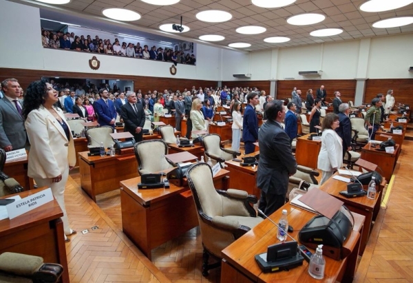 Recambio institucional: Juraron los diputados electos el 11 de mayo pasado