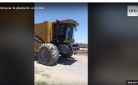 Los Grobos ahora defaultearon USD 30 millones y temen quiebras masivas en el campo