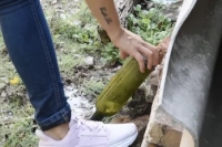 Jujuy: se reportaron 114 nuevos casos de Dengue