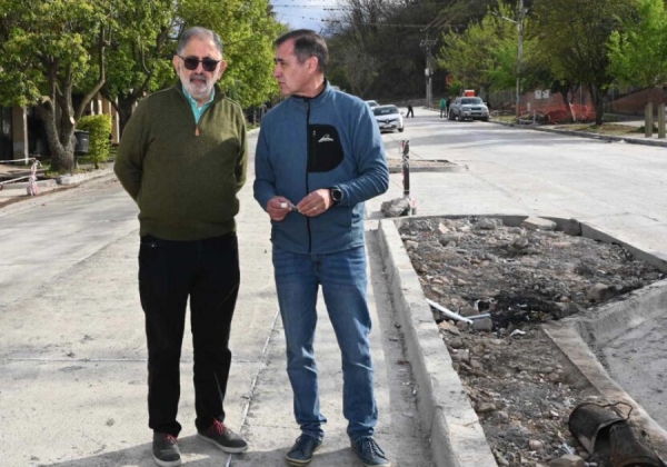 Obra Mixta: Pavimentaci&oacute;n de la avenida Palma Carrillo en Bajo La Vi&ntilde;a